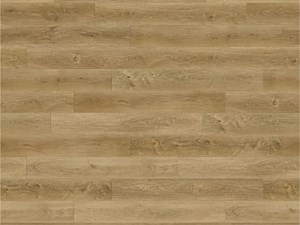 Paradigm Conquest Dover 9 x 72